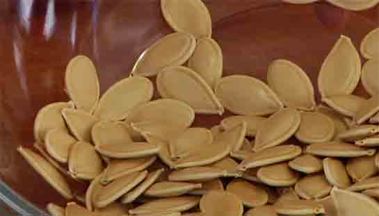 Kabak Çekirdeği Günlük Besin Değeri