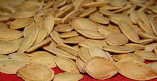 Kabak Çekirdeği Ekimi Nedir ve Nasıl Yapılır?